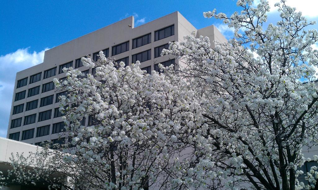 Capitol Plaza Hotel Jefferson City Exterior photo